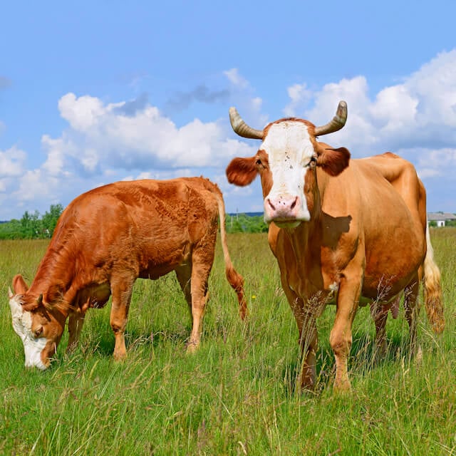 Newsletter Fashion Box